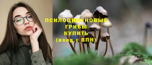 амфетамин Медвежьегорск