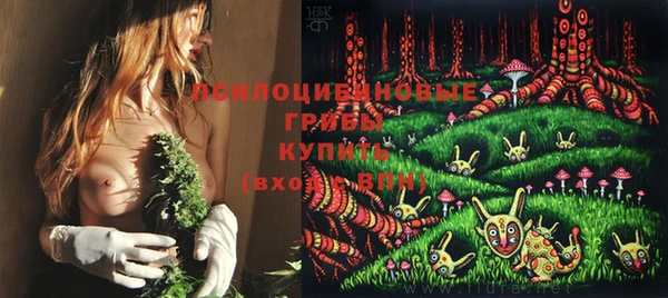 эйфоретик Мегион