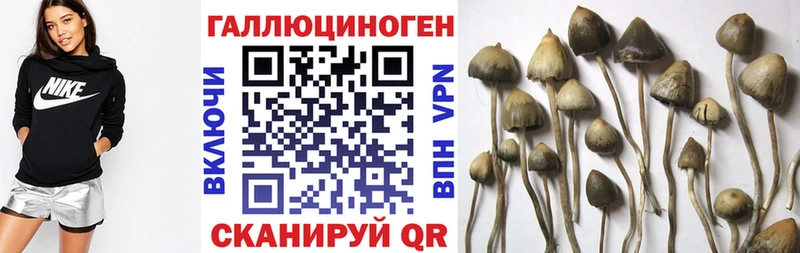 Галлюциногенные грибы мухоморы  Купить закладки  Медногорск 